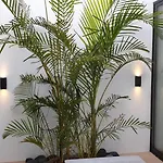 Oasis House *