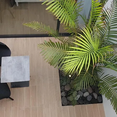 At Azores - Oasis House Apartment