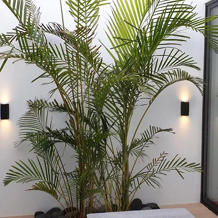 Oasis House *